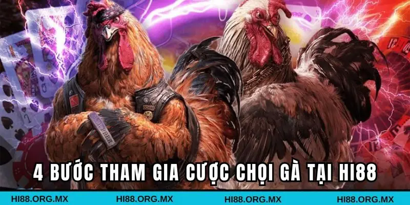 4 bước tham gia cược chọi gà tại Hi88 cho tân binh