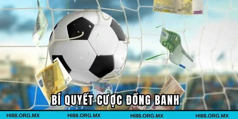 Bí quyết cược đồng banh chiến thắng từ chuyên gia