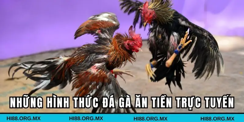 Những hình thức đá gà ăn tiền trực tuyến tại HI88