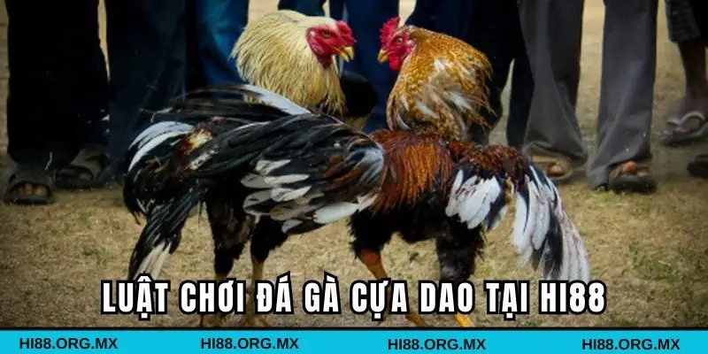 Hướng dẫn chi tiết về luật chơi đá gà cựa dao tại HI88