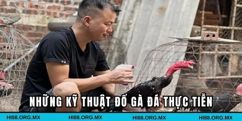 Những kỹ thuật đổ gà đá thực tiễn