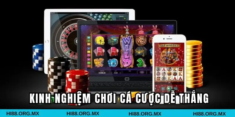 Những kinh nghiệm chơi cá cược dễ thắng từ chuyên gia