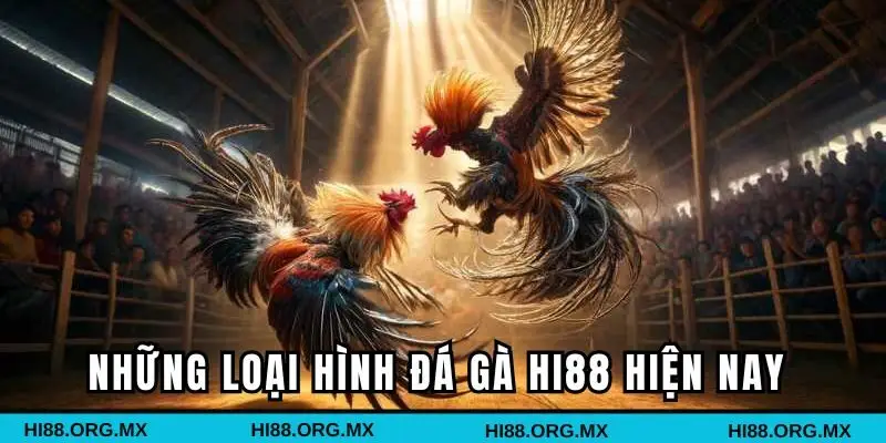 Những loại hình đá gà Hi88 hot hiện nay