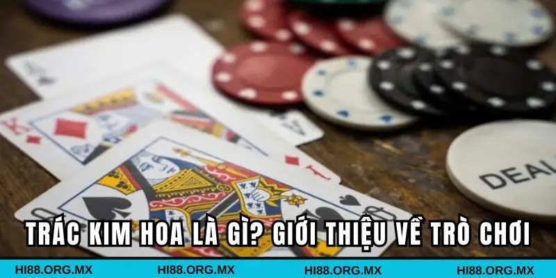Trác Kim Hoa là gì? Giới thiệu về trò chơi bài ba lá hấp dẫn